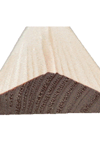 Co2 Grandis &reg; Fencing Capping for Grandis fencing